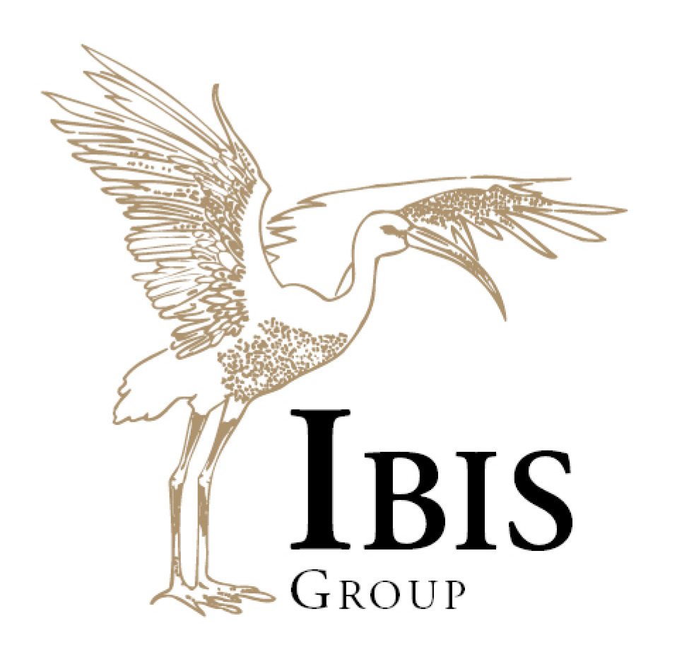 Ibis Group logo